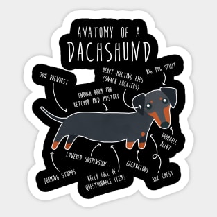 Black and Tan Dachshund Dog Anatomy Sticker